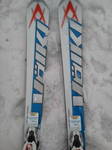 VOLKL PLATINUM SW 166CM.jpg
